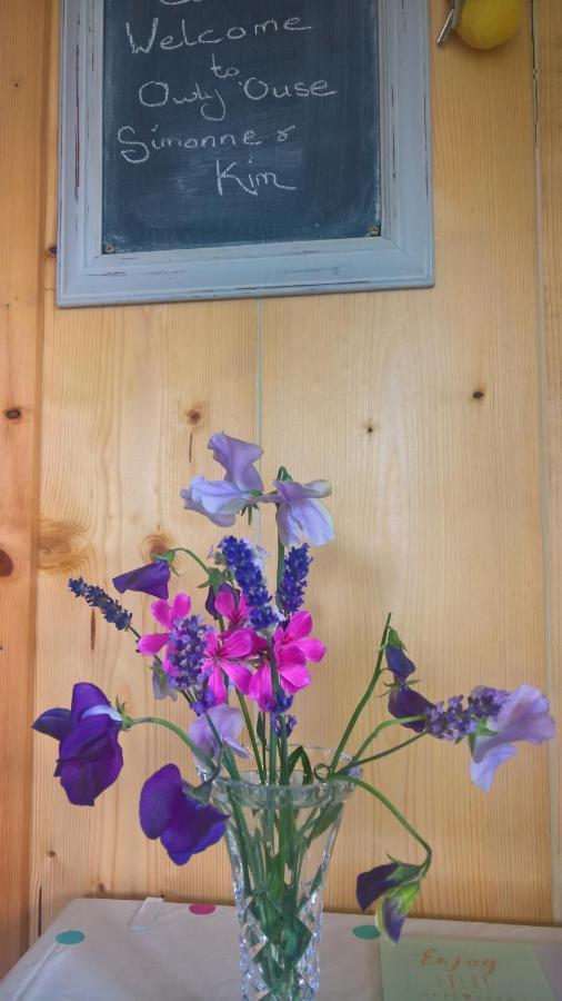 Owly 'Ouse Bed & Breakfast Barnstaple Exterior foto