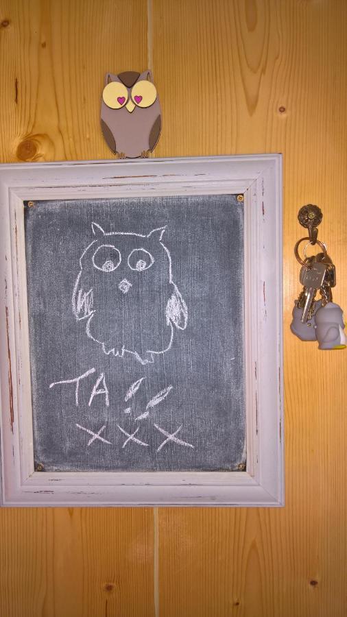 Owly 'Ouse Bed & Breakfast Barnstaple Exterior foto