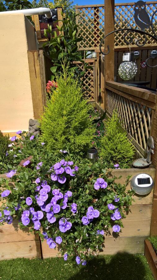 Owly 'Ouse Bed & Breakfast Barnstaple Exterior foto