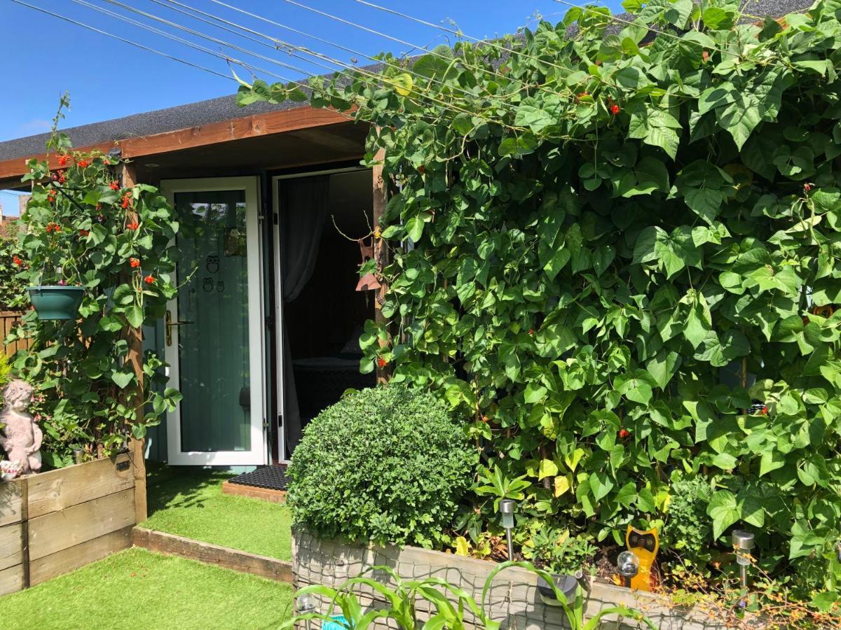 Owly 'Ouse Bed & Breakfast Barnstaple Exterior foto
