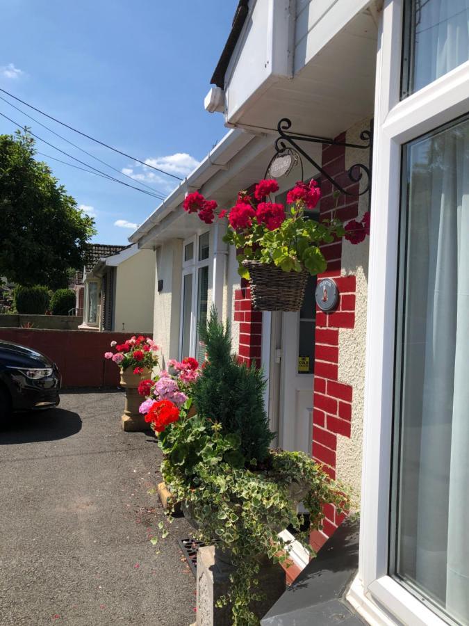 Owly 'Ouse Bed & Breakfast Barnstaple Exterior foto