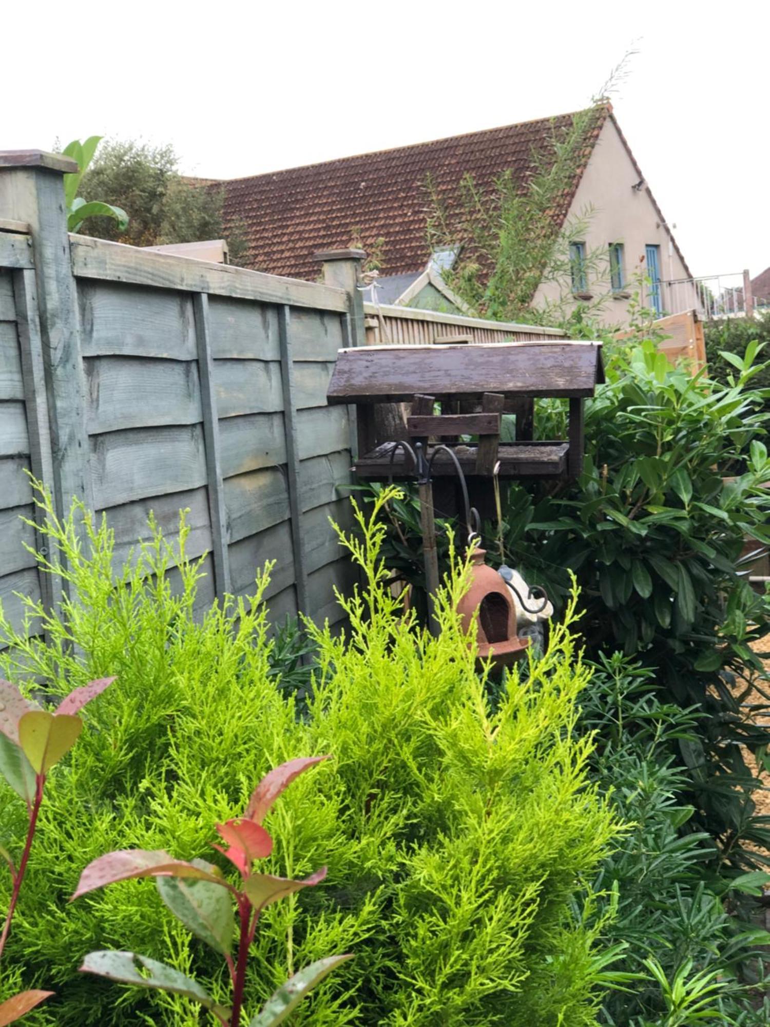 Owly 'Ouse Bed & Breakfast Barnstaple Exterior foto