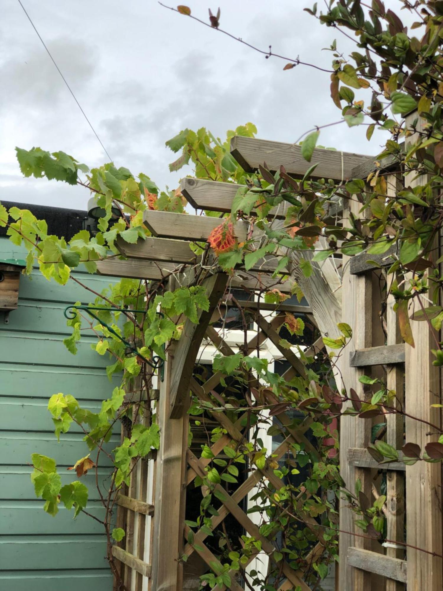 Owly 'Ouse Bed & Breakfast Barnstaple Exterior foto