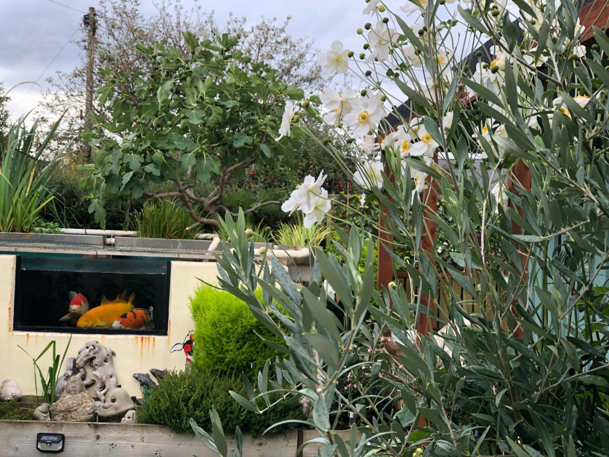 Owly 'Ouse Bed & Breakfast Barnstaple Exterior foto